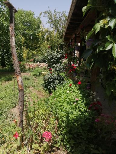 عکس اقامتگاه بومگردی باغ پایین 