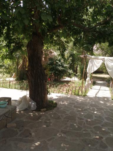 عکس اقامتگاه بومگردی باغ پایین 