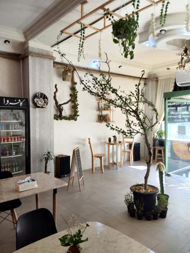 عکس کافه دا 