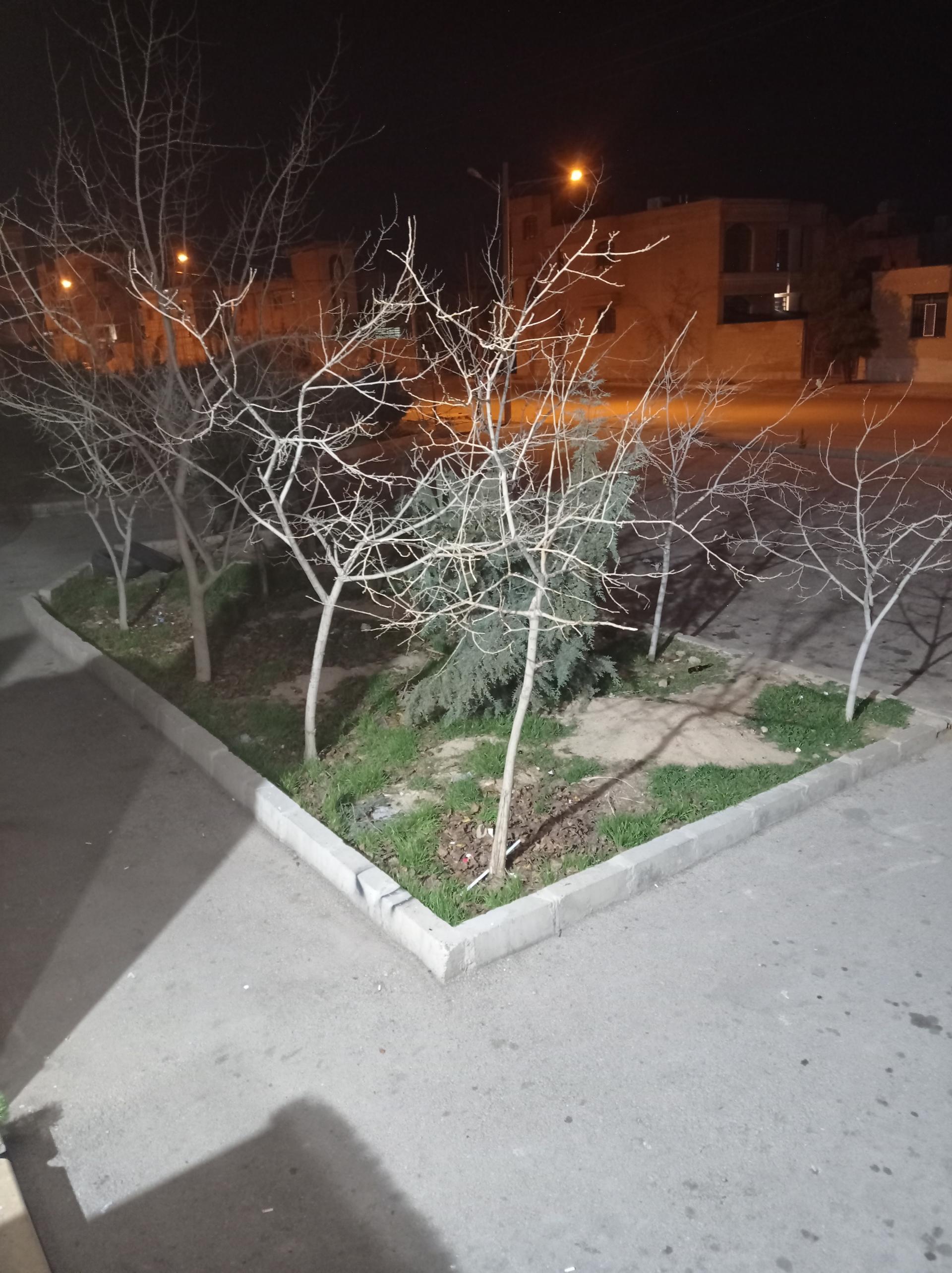 عکس پارک بانوان