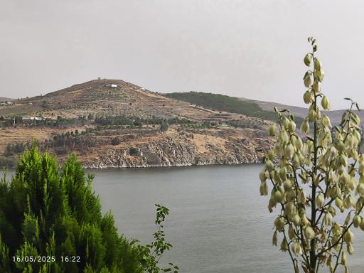 عکس رستوران ساحلی الماس گلستان