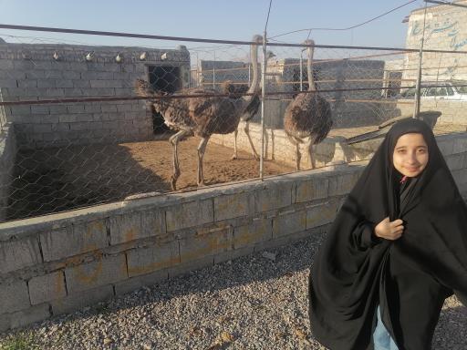 عکس قازقان