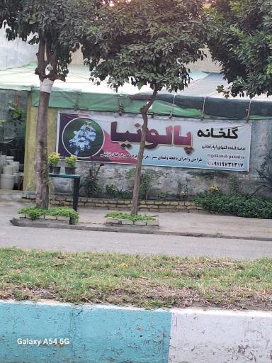 عکس گلخانه پالونیا