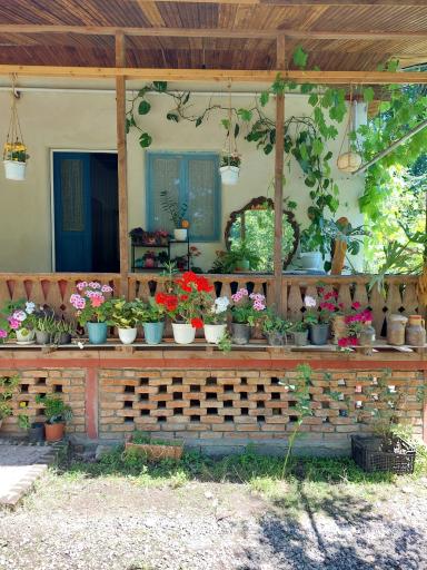 عکس اقامتگاه داربن