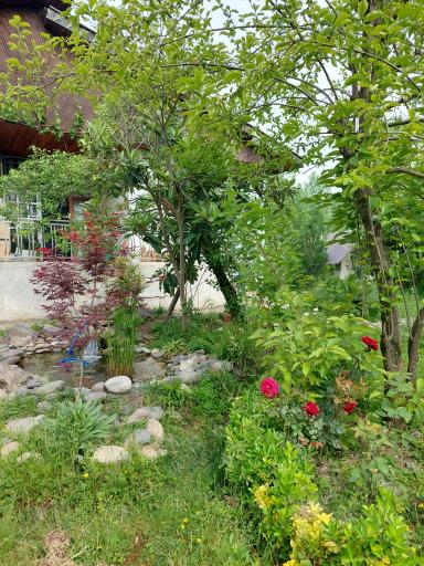 عکس اقامتگاه داربن