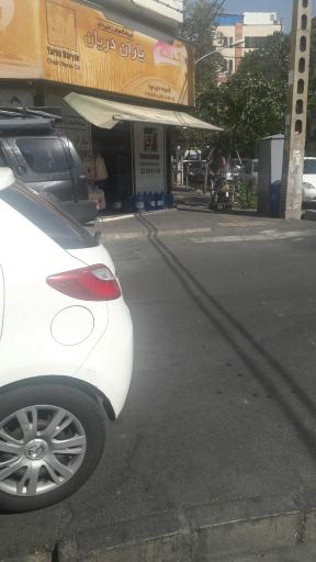 عکس یاران دریان