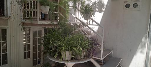 عکس چایخانه و دیزی سرای حیدر بابا رودکی