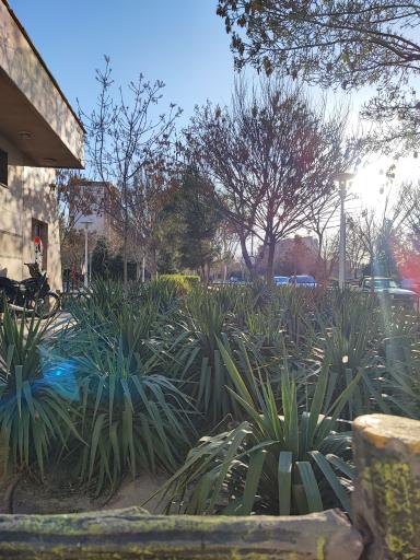 عکس بوستان ساحل