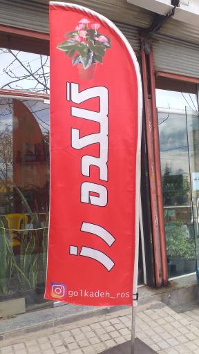 عکس گلکده رز