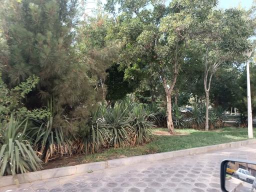 عکس بوستان ساحل