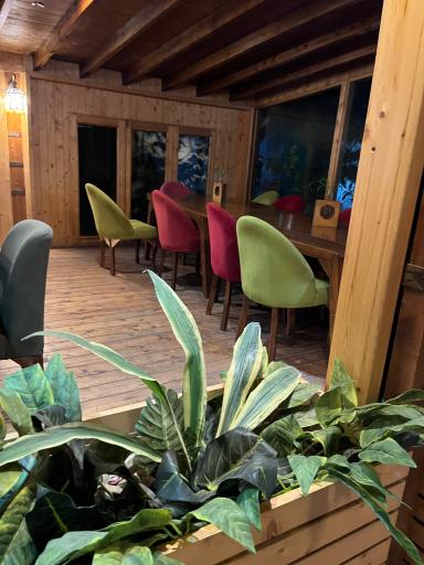 عکس کافه رستوران برگ و بلوط