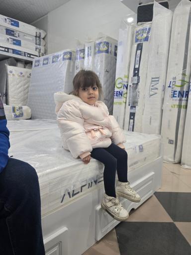 نمایندگی تشک رویال تشک رویا تشک گرین رست 