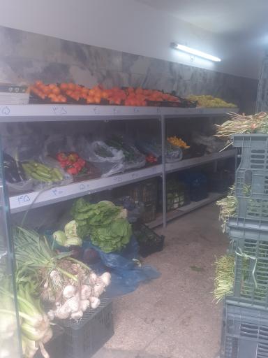 عکس میوه فروشی عامری