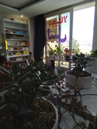 عکس زود لیبل