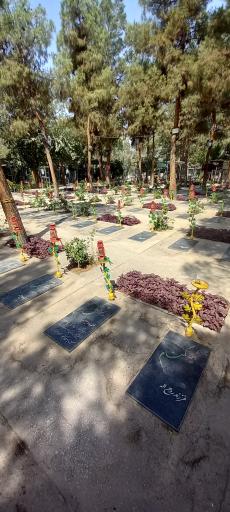 عکس شهدای فانوس 