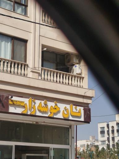 عکس نان خوشه زار