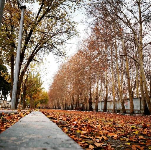 عکس باغ های سرخ حصار قلعه حسن خان