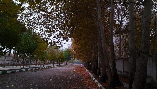 عکس باغ های سرخ حصار قلعه حسن خان