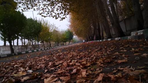 عکس باغ های سرخ حصار قلعه حسن خان