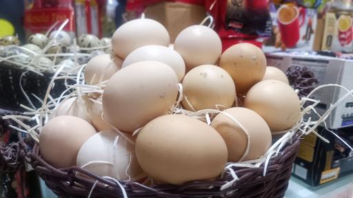 عکس هایپرپروتئین پدر پسر