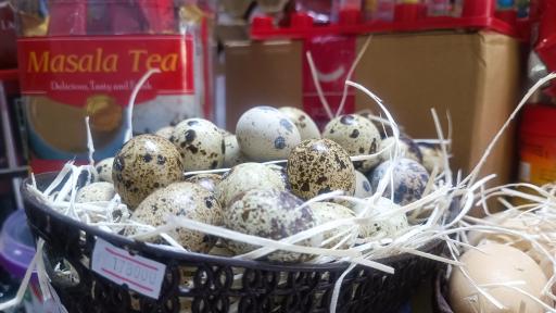 عکس هایپرپروتئین پدر پسر