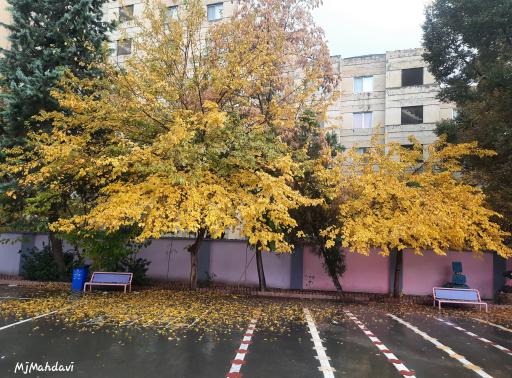 عکس دبستان دخترانه حدیث