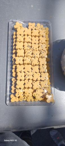 عکس قنادی کیوان 