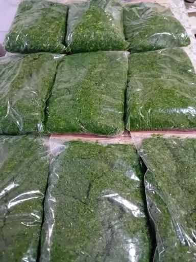 فروشگاه ارگانیک عالی
