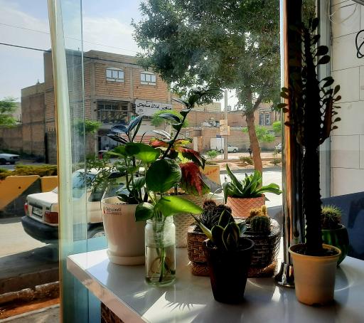 عکس کافه رضا