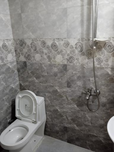 عکس هتل الماس