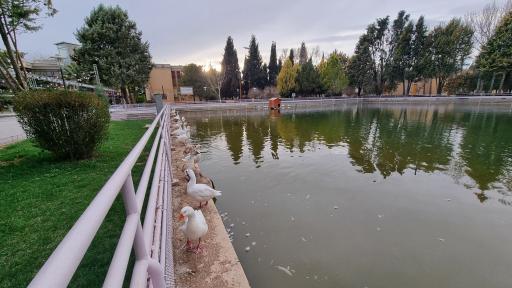 عکس مجموعه ورزشی اداری باشگاه فولاد مبارکه سپاهان