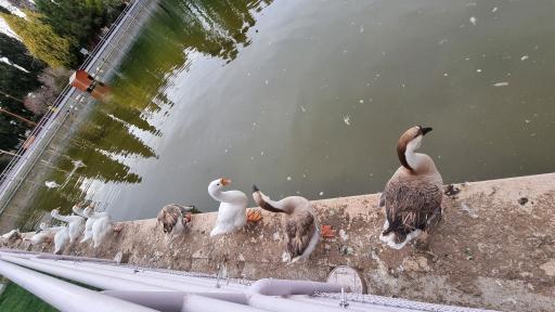 عکس مجموعه ورزشی اداری باشگاه فولاد مبارکه سپاهان