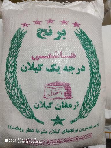 عکس برنج فروشی شالیزار