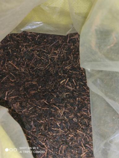 عکس برنج فروشی شالیزار