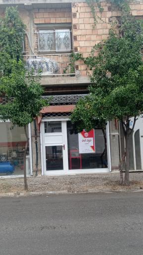 عکس دخانیات دودلند