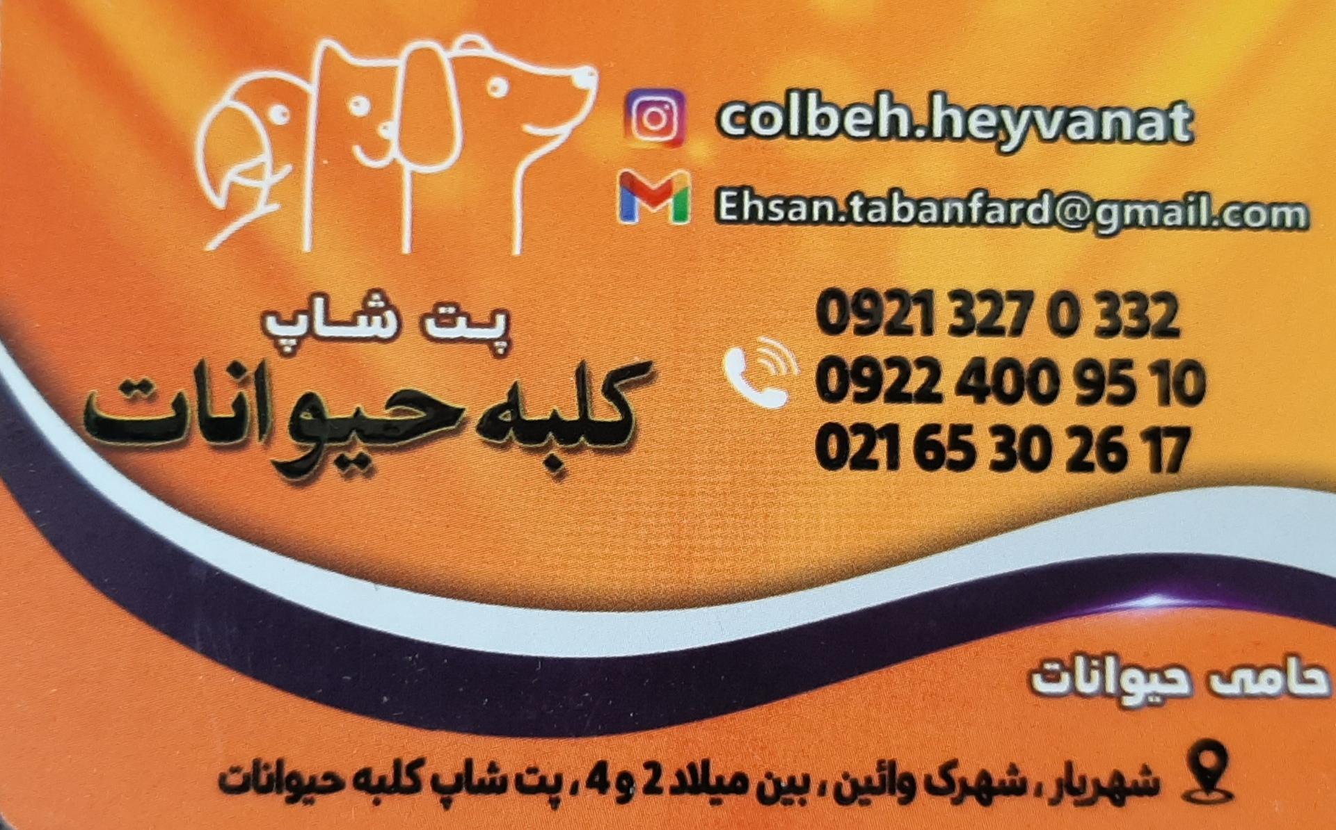 عکس پت شاپ کلبه حیوانات