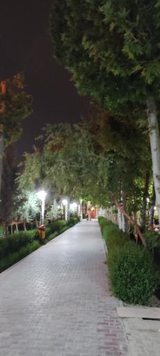 عکس مجموعه ورزشی اداری باشگاه فولاد مبارکه سپاهان