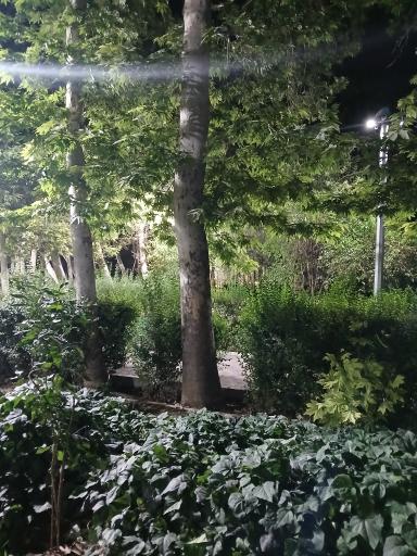 عکس بوستان فدک