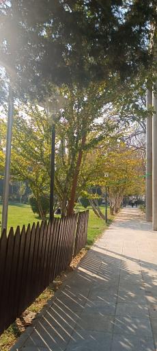 عکس مجموعه ورزشی اداری باشگاه فولاد مبارکه سپاهان