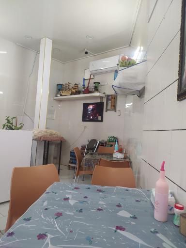 عکس جگرکی گیلاشه