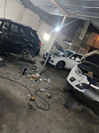 عکس جلوبندی وفادار