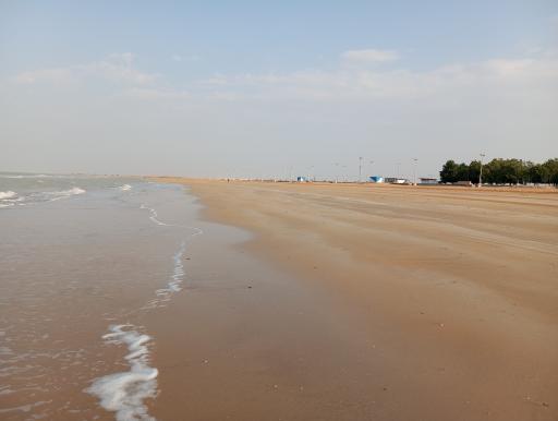 عکس تل بردی