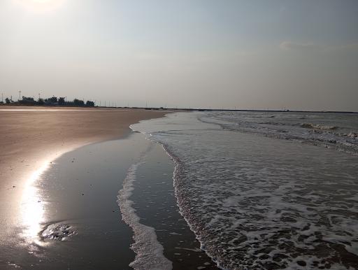 عکس تل بردی