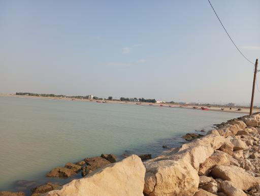 عکس تل بردی