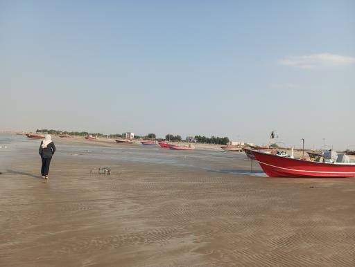 عکس تل بردی