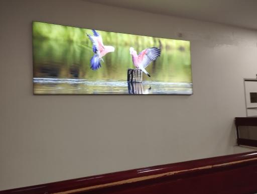 عکس چاپ و تبلیغات چاپان