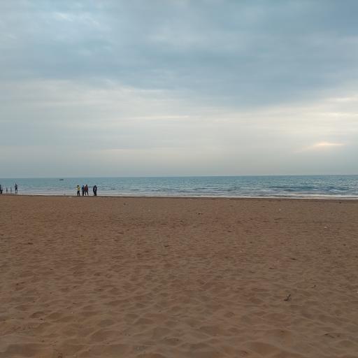 عکس تل بردی