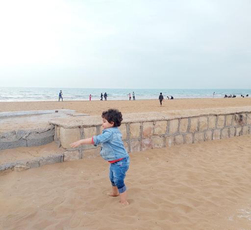 عکس تل بردی