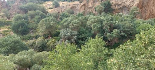 عکس تنگه براق 