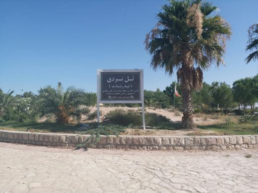 عکس تل بردی